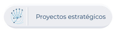 Proyectos estratégicos