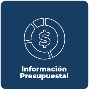 Información presupuestal