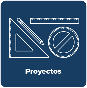 Proyectos